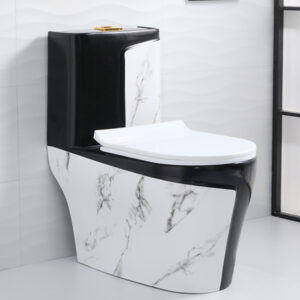 Luxury black and marble color toilet wc