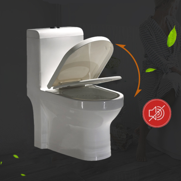 Africa Algeria Middle East Saudi Arabia Washdown One piece Toilet - Image 2