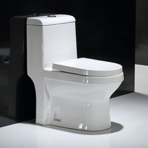 Africa Algeria Middle East Saudi Arabia Washdown One piece Toilet