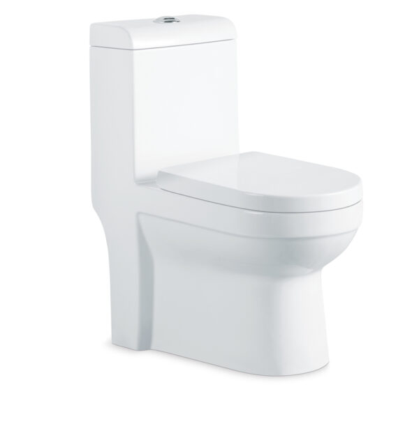Africa Algeria Middle East Saudi Arabia Washdown One piece Toilet - Image 6