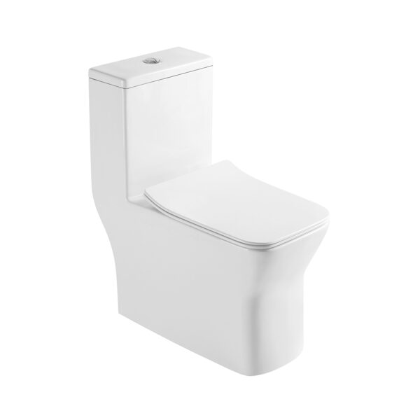 China Huiyu Manufacturer Wholesale Cheap One Piece Toilet Sanitary Ware Toilet - Image 6