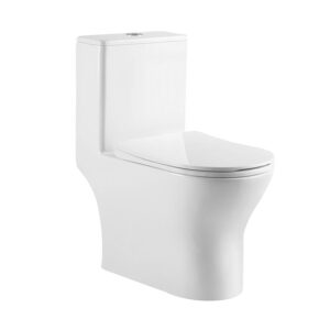 Chaozhou factory sanitary ware bathroom washdown rimless one piece toilet