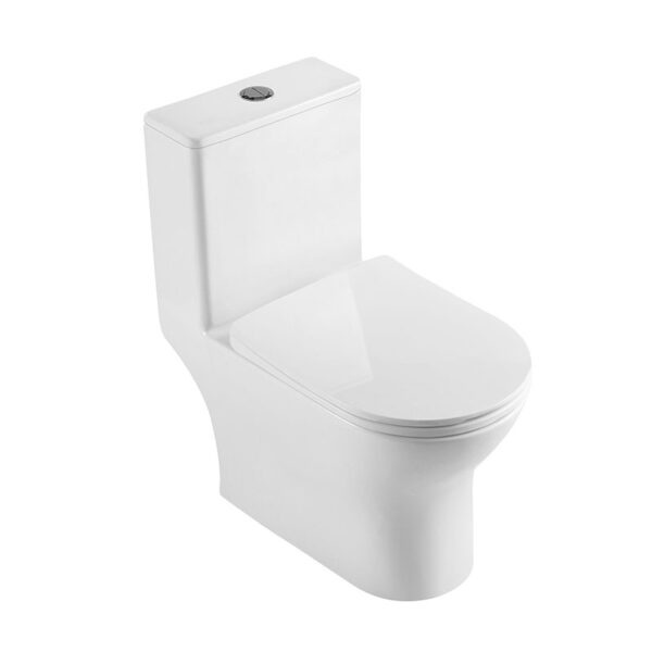 Chaozhou factory sanitary ware bathroom washdown rimless one piece toilet - Image 2