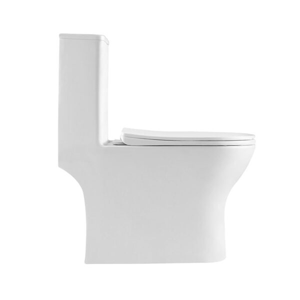 Chaozhou factory sanitary ware bathroom washdown rimless one piece toilet - Image 4
