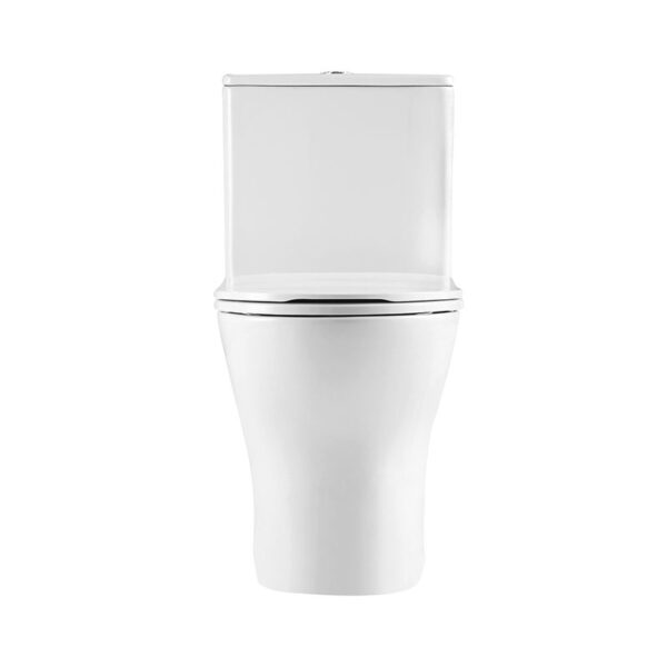 Chaozhou factory sanitary ware bathroom washdown rimless one piece toilet - Image 5