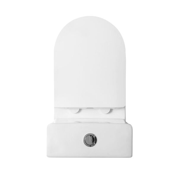 Chaozhou factory sanitary ware bathroom washdown rimless one piece toilet - Image 6