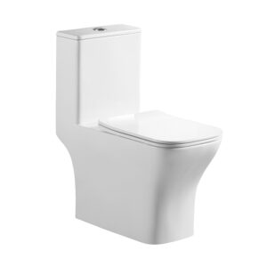 China sanitary ware washdown rimless one piece toilet wc closet