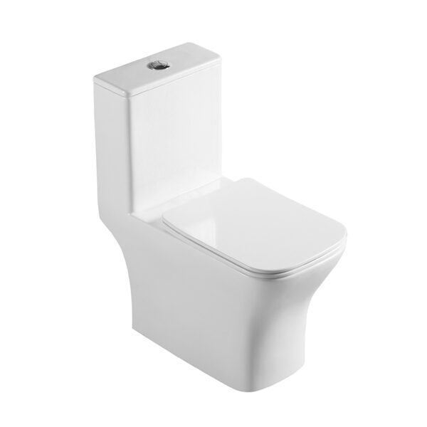 China sanitary ware washdown rimless one piece toilet wc closet - Image 2