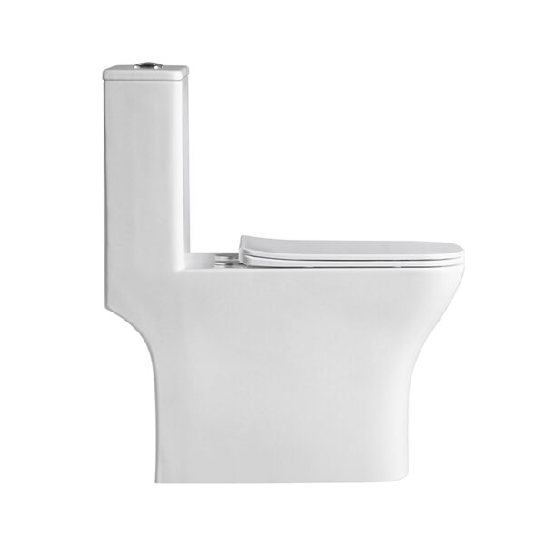 China sanitary ware washdown rimless one piece toilet wc closet - Image 3