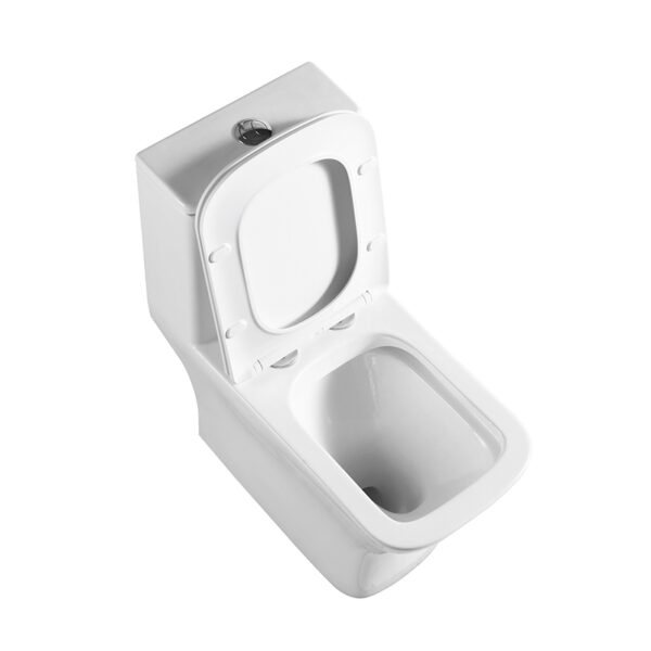 China sanitary ware washdown rimless one piece toilet wc closet - Image 4