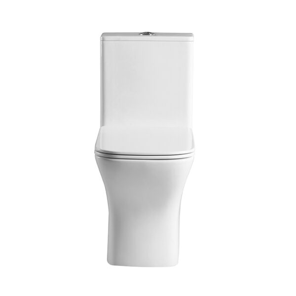 China sanitary ware washdown rimless one piece toilet wc closet - Image 5