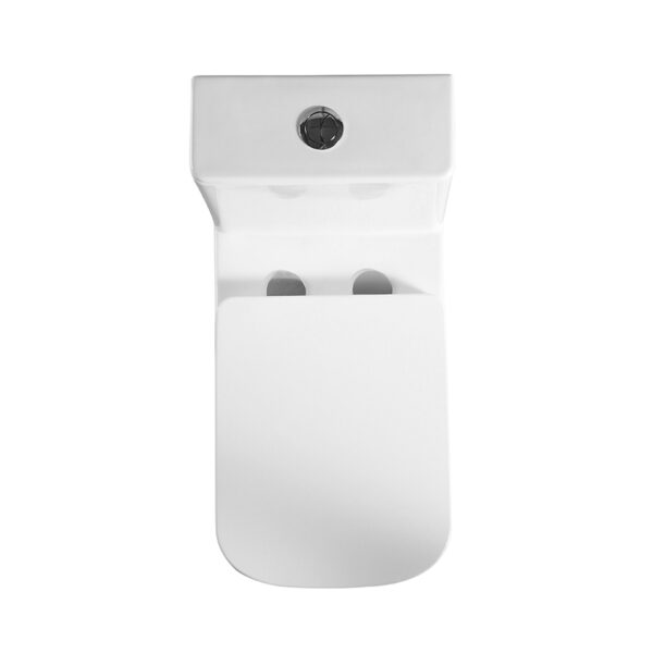 China sanitary ware washdown rimless one piece toilet wc closet - Image 6