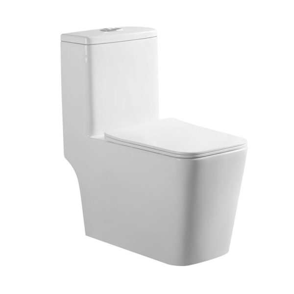 Bathroom washdown rimless one piece toilet wc ceramic closet