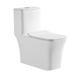 Washdown rimless one piece toilet wc manufacturer