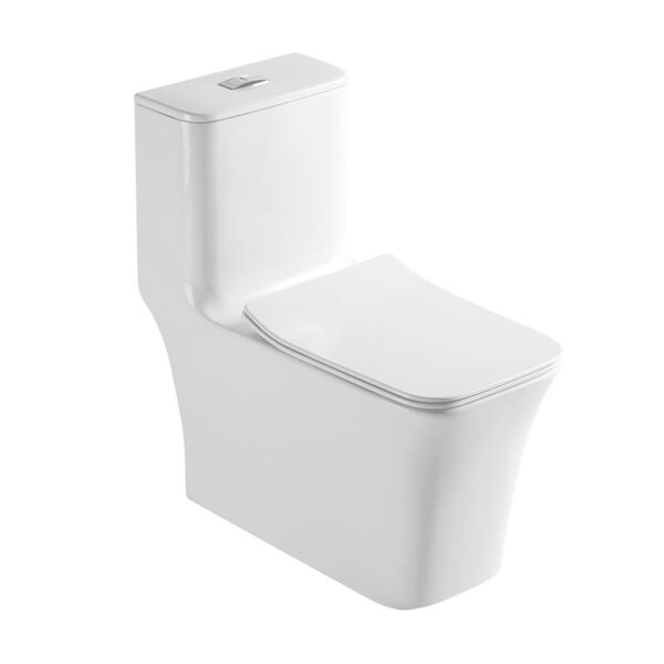 Washdown rimless one piece toilet wc manufacturer - Image 2