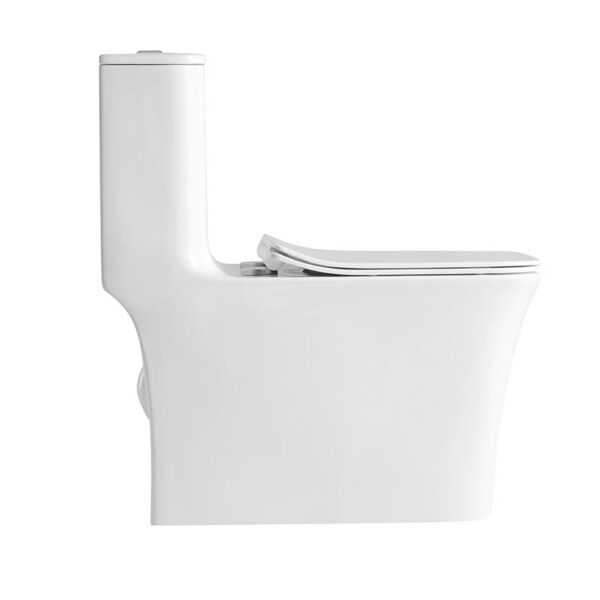 Washdown rimless one piece toilet wc manufacturer - Image 3