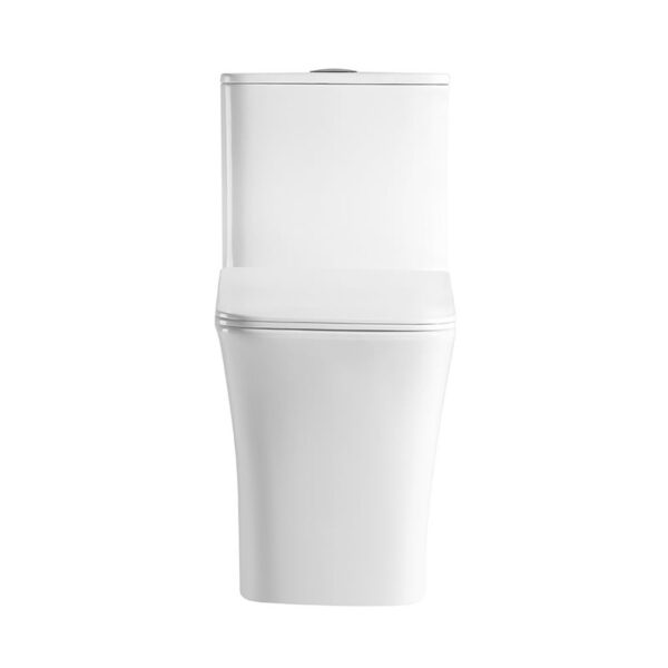 Washdown rimless one piece toilet wc manufacturer - Image 4