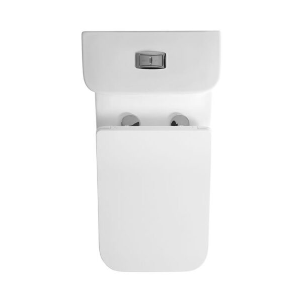 Washdown rimless one piece toilet wc manufacturer - Image 5