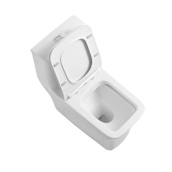 Washdown rimless one piece toilet wc manufacturer - Image 7