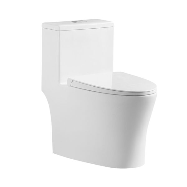 Chaozhou washdown rimless one piece toilet wc