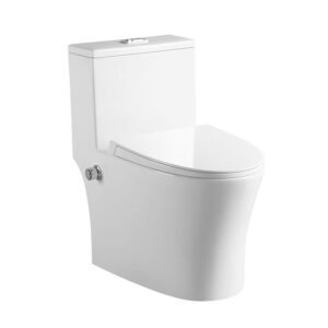 China Factory Supplier Bathroom washdown rimless bidet one piece toilet
