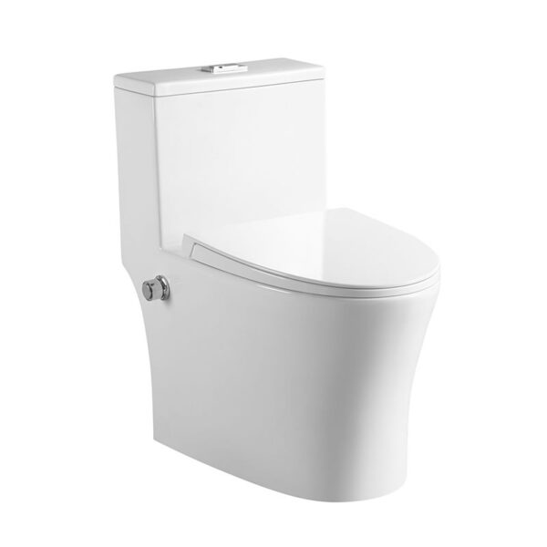 China Factory Supplier Bathroom washdown rimless bidet one piece toilet