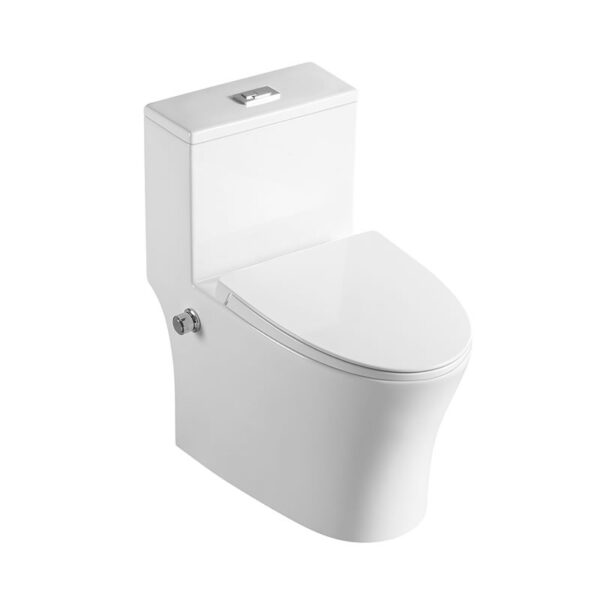 China Factory Supplier Bathroom washdown rimless bidet one piece toilet - Image 2