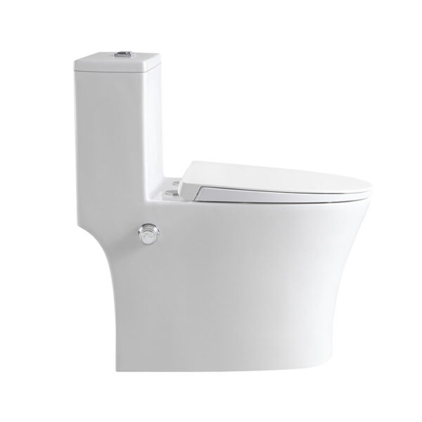 China Factory Supplier Bathroom washdown rimless bidet one piece toilet - Image 3