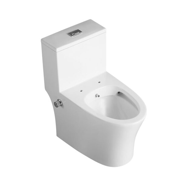 China Factory Supplier Bathroom washdown rimless bidet one piece toilet - Image 4