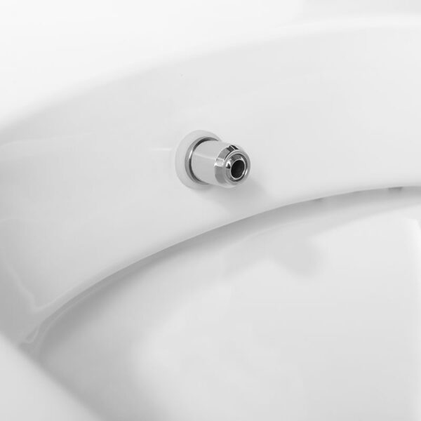 China Factory Supplier Bathroom washdown rimless bidet one piece toilet - Image 5