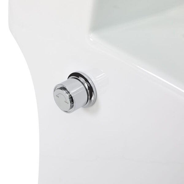 China Factory Supplier Bathroom washdown rimless bidet one piece toilet - Image 6