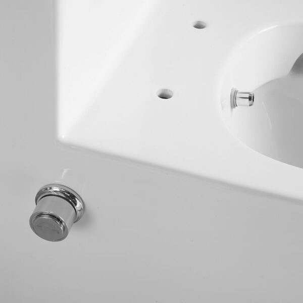 China Factory Supplier Bathroom washdown rimless bidet one piece toilet - Image 7
