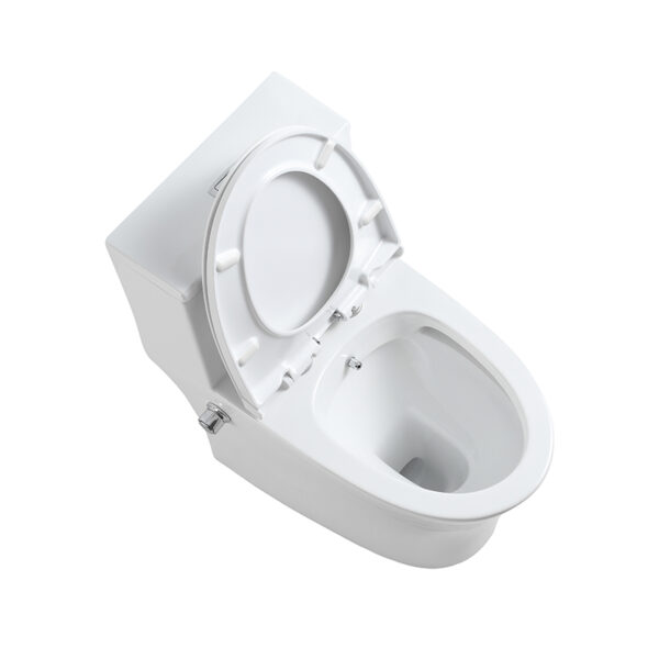 China Factory Supplier Bathroom washdown rimless bidet one piece toilet - Image 8