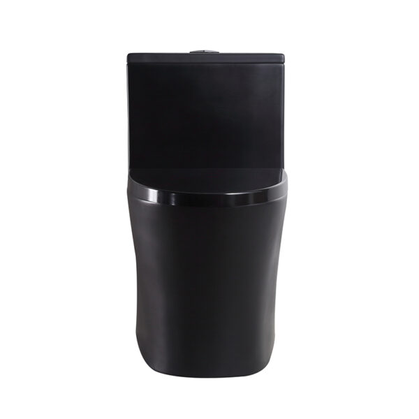 Matt black washdown rimless one piece toilet - Image 6