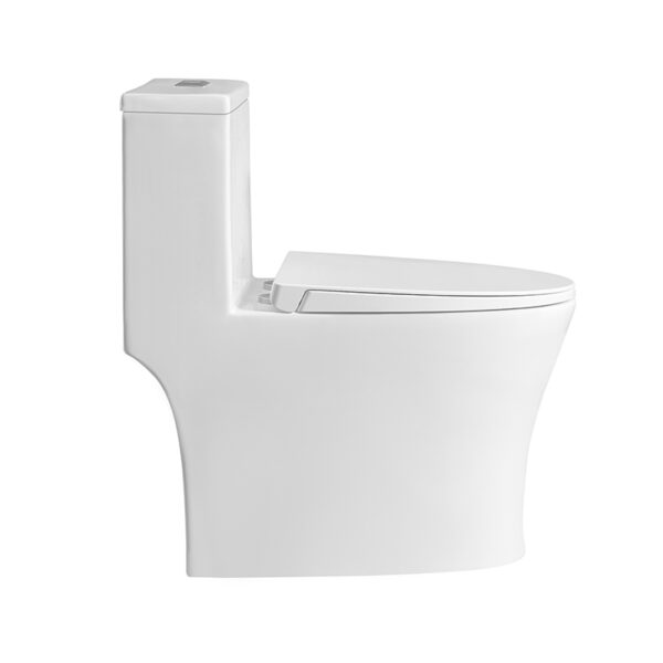 Chaozhou washdown rimless one piece toilet wc - Image 3
