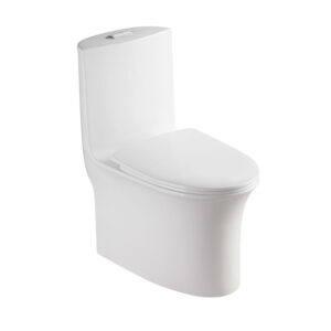 Sanitary Ware Ceramic Bathroom One Piece Washdown Water Closet WC