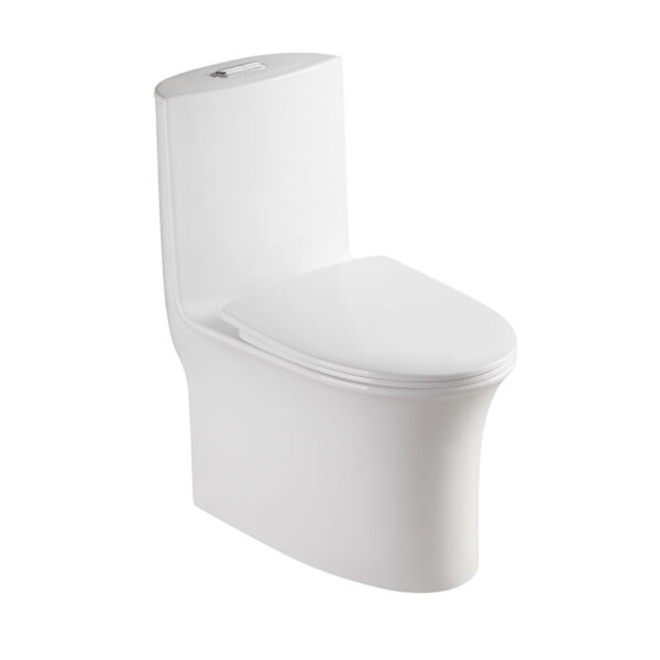 Sanitary Ware Ceramic Bathroom One Piece Washdown Water Closet WC
