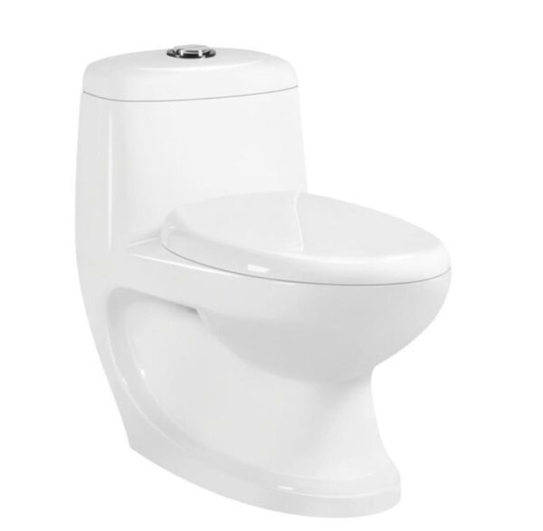 Hot sale Middle East Indian Exclusive Design 4 Inch Outlet Washdown One Piece Toilet - Image 2