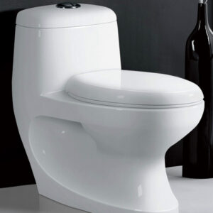 Hot sale Middle East Indian Exclusive Design 4 Inch Outlet Washdown One Piece Toilet