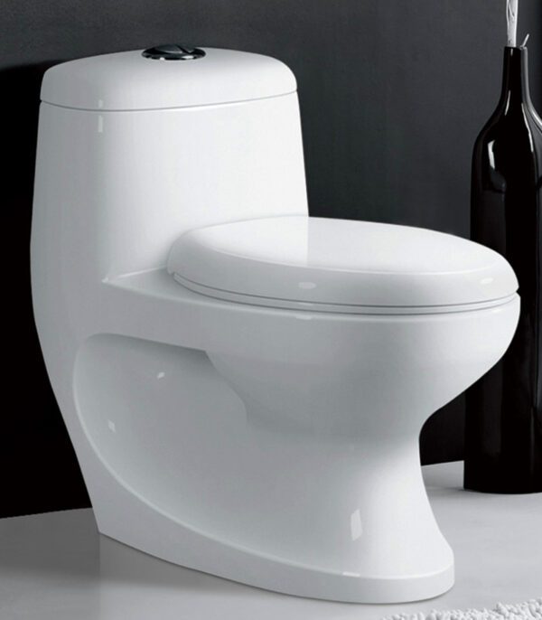 Hot sale Middle East Indian Exclusive Design 4 Inch Outlet Washdown One Piece Toilet