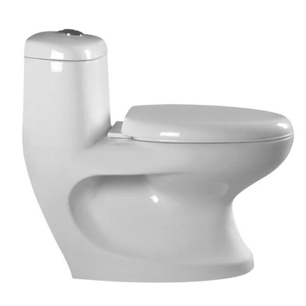 Hot sale Middle East Indian Exclusive Design 4 Inch Outlet Washdown One Piece Toilet - Image 3