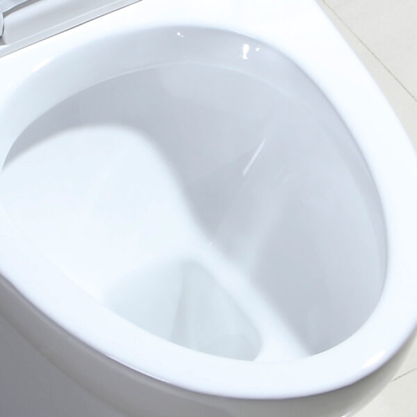Hot sale Middle East Indian Exclusive Design 4 Inch Outlet Washdown One Piece Toilet - Image 4