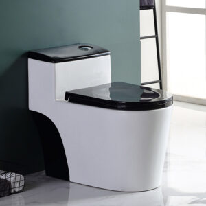 White and Black One-Piece Elongated Toilet Floor Mounted