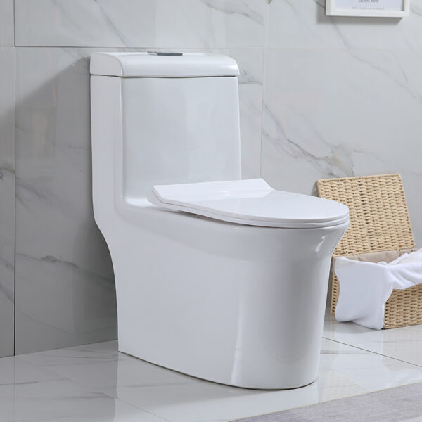 Amazon One-Piece Toilet supplier