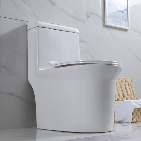 Amazon One-Piece Toilet supplier and producer - Image 2