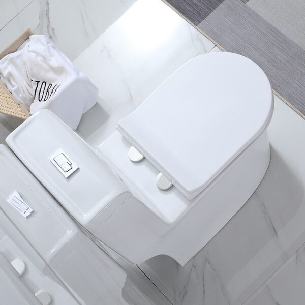 Amazon One-Piece Toilet supplier and producer - Image 4