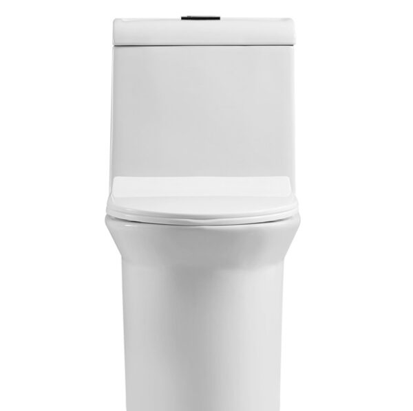 Amazon One-Piece Toilet supplier and producer - Image 5