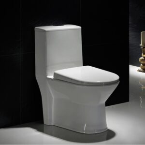 Small porcelain one-piece toilet supplier